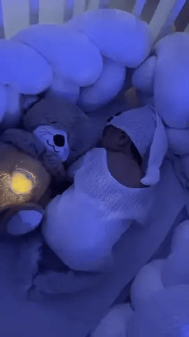 Peluche Nutria Respira + Envio gratis