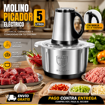 Molino Picador Electrico